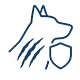 Dog Bites
